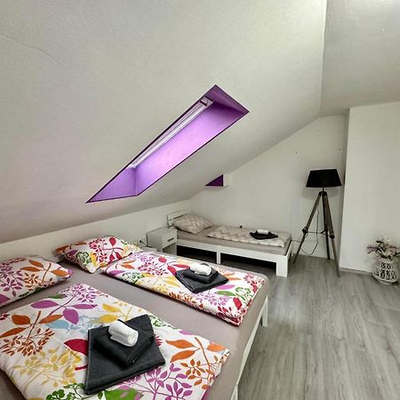 Aria Apartment Mosnje 外观 照片