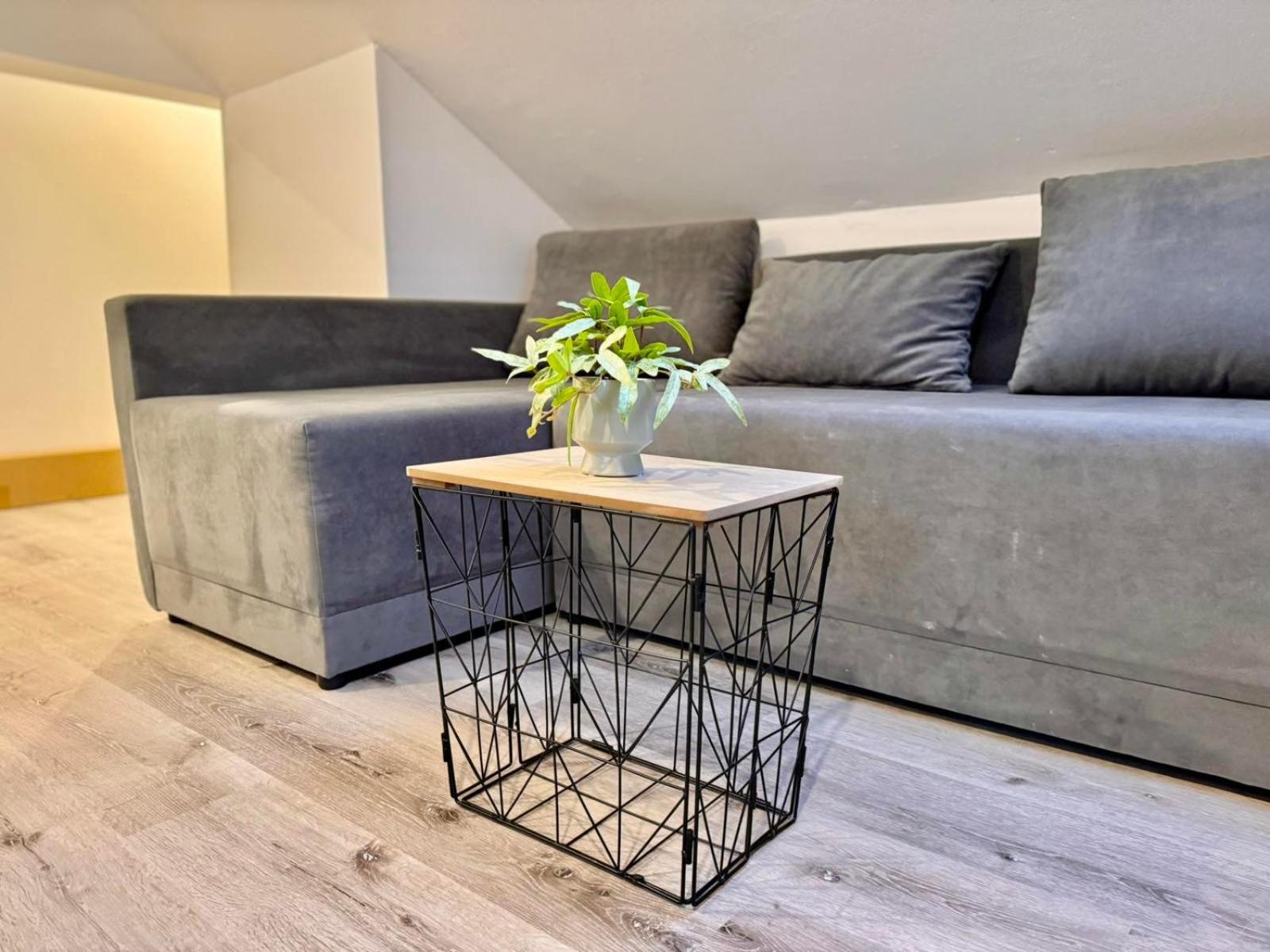 Aria Apartment Mosnje 外观 照片