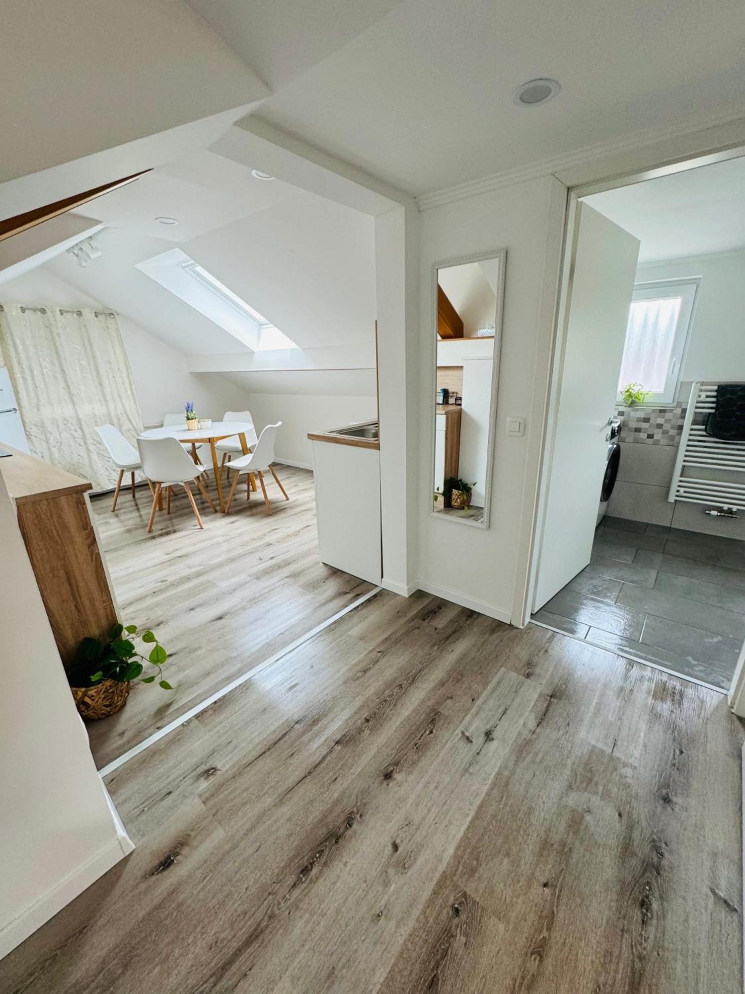 Aria Apartment Mosnje 外观 照片
