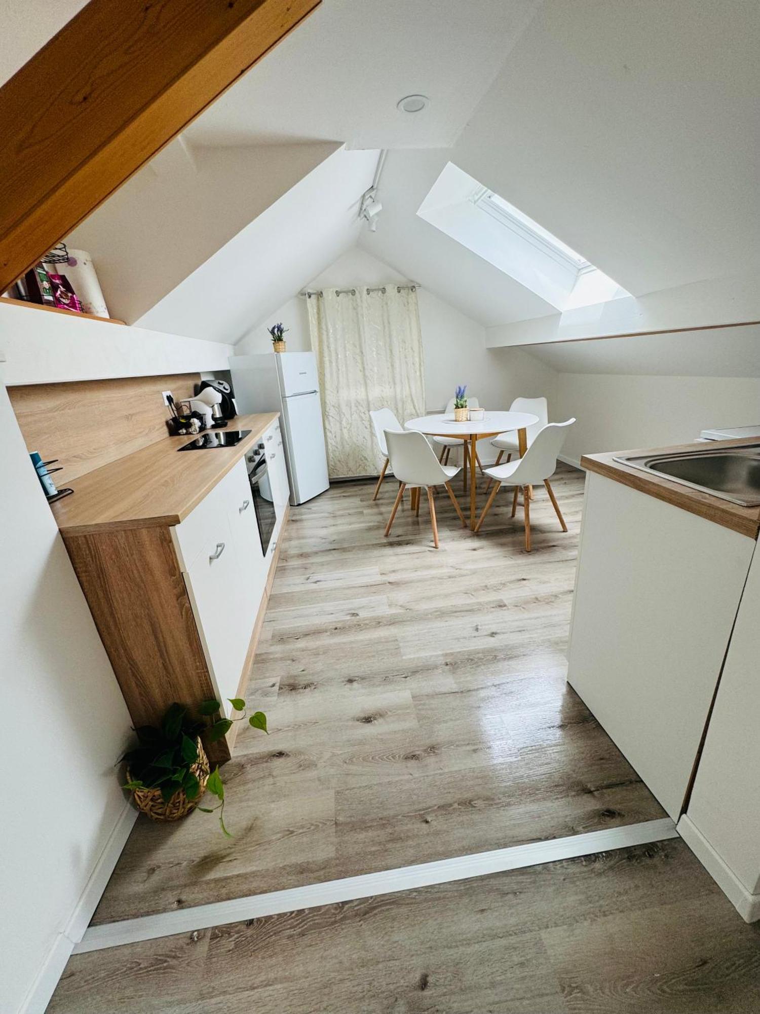 Aria Apartment Mosnje 外观 照片